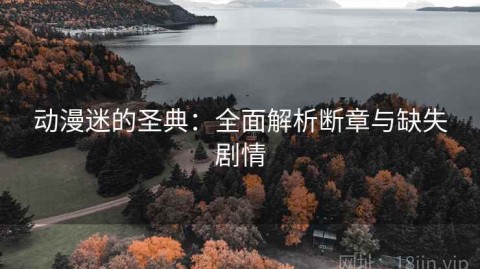动漫迷的圣典：全面解析断章与缺失剧情