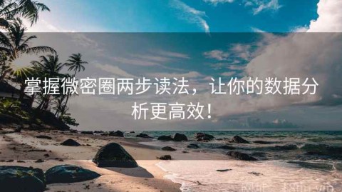 掌握微密圈两步读法，让你的数据分析更高效！