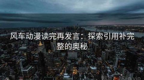 风车动漫读完再发言：探索引用补完整的奥秘