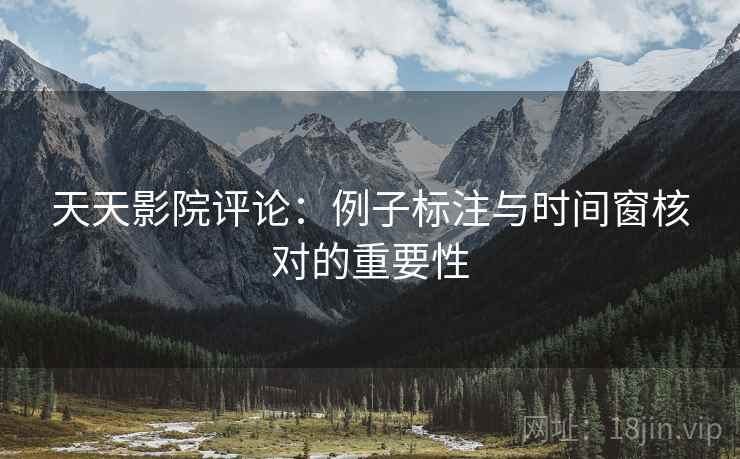 天天影院评论：例子标注与时间窗核对的重要性